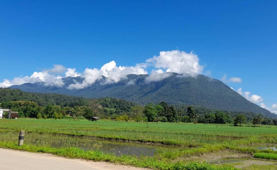 Born Guest House Chiang Mai Dış mekan fotoğraf