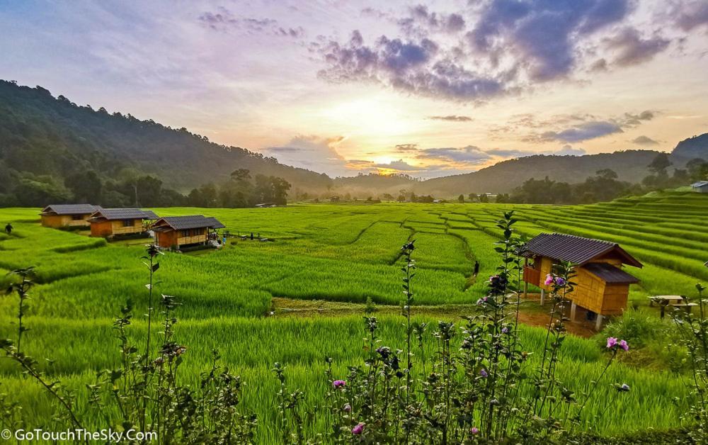 Born Guest House Chiang Mai Dış mekan fotoğraf